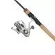 Fenwick Eagle Trion Bait Cast Combo