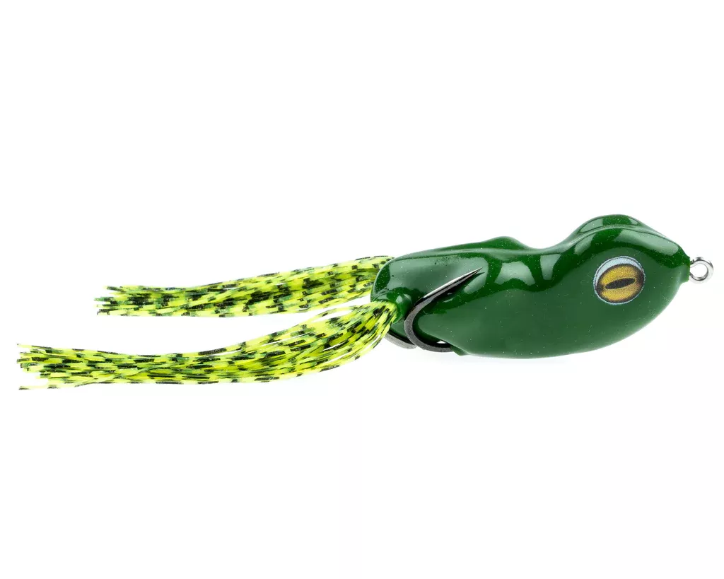 Scum Frog Big Dog
